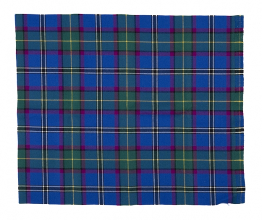 Official Minnesota tartan