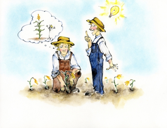 Drawing of two individuals contemplating how to grow corn in Minnesota’s cold climate.