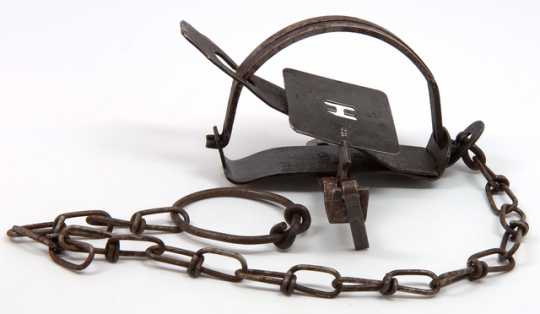 Color image of a steel animal trap used by the Hudson’s Bay Company. 