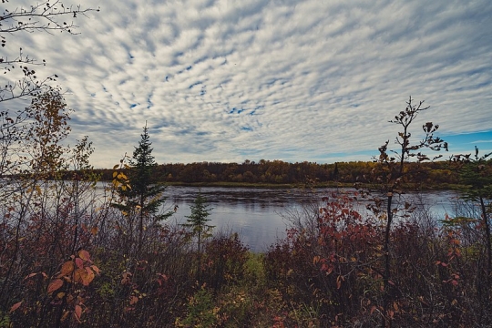 View of the Rainy River inside Franz Jevne State Park