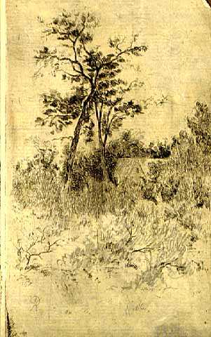 "Two Crossed Trees," c.1885. Etching by Robert Koehler. 