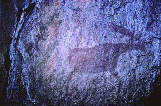 Color image of Native American pictographs at Lac La Croix in the BWCA, 1964.