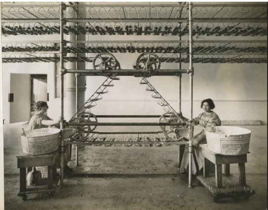 Women at work at Griggs, Cooper & Company