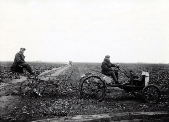 Sugar beet farmers and tractor