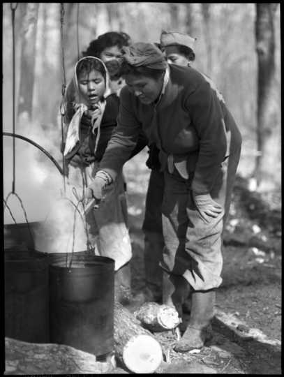 Making maple sugar on the Mille Lacs Reservation of Ojibwe