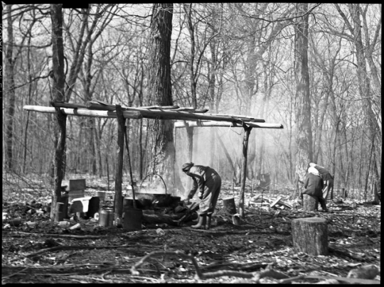 Making maple sugar on the Mille Lacs Reservation of Ojibwe