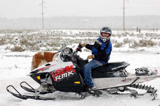 Polaris RMK series snowmobile. Introduced in 1996, the RMK series of snowmobiles Polaris’s entry into the deep snow mountain sled market. Photograph taken in Island Park, Idaho, by Flickr user MotoWebMistress. CC BY 2.0.