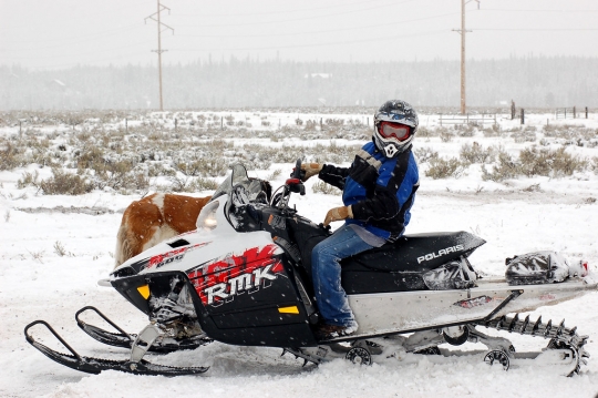 Polaris RMK series snowmobile. Introduced in 1996, the RMK series of snowmobiles Polaris’s entry into the deep snow mountain sled market. Photograph taken in Island Park, Idaho, by Flickr user MotoWebMistress. CC BY 2.0.