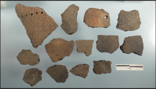 Sherds of Fox Lake-type ceramics