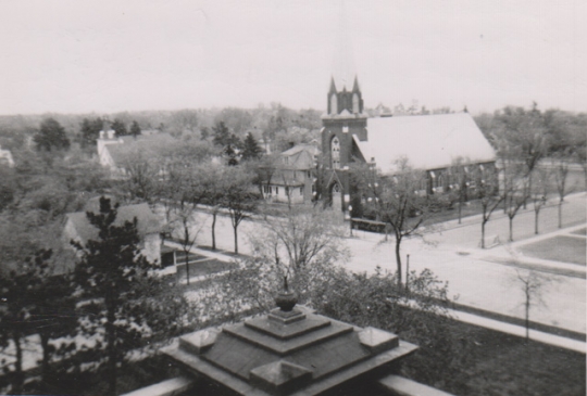 View from the Beltrami County Courthouse's cupola