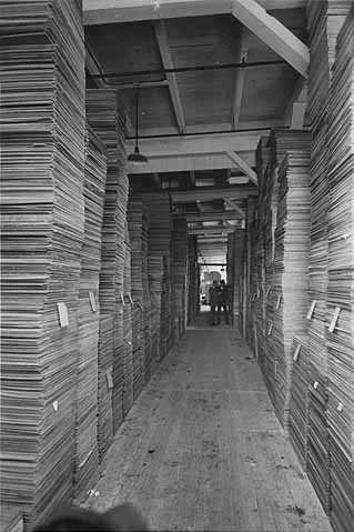 Black and white photograph showing stacks of milled lumber, ca. 1915.