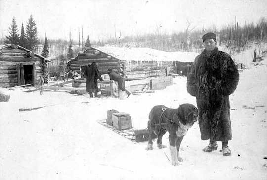 Photograph of Frank Higgins and a dog with a sled outside a lumber camp c.1900.
