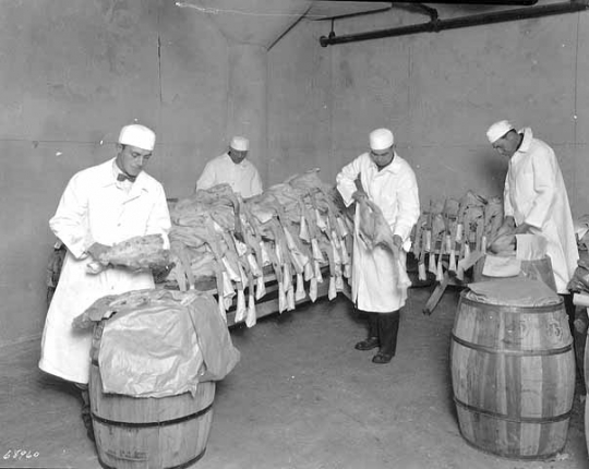 Black and white photograph of Turkeys, Land O'Lakes, Minneapolis, 1927. Photograph by Hibbard Studio.