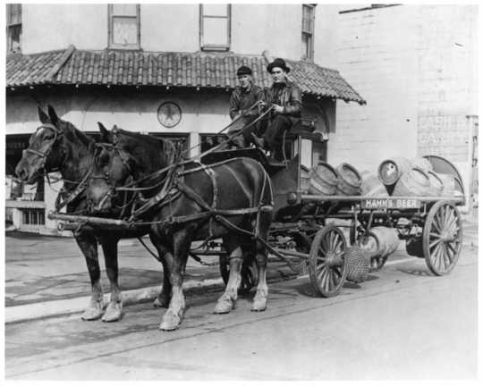 Hamm’s Brewery keg delivery wagon, ca. 1923. Hamm’s delivered kegs of beverages via horse-drawn carts. 