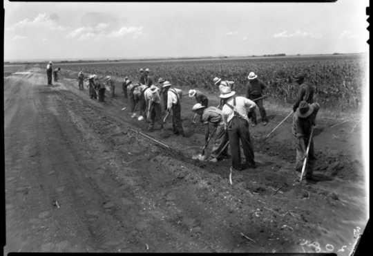 Black and white photograph of drought farmers working on a farm to market road in Foster Township, south of Beardsley in Big Stone County, 1936.