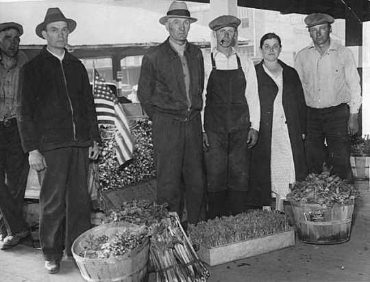 Black and white photograph of farmers who braved the picket lines to reach the Minneapolis city produce market during the truckers' strike, 1934. Photograph by the Minneapolis Tribune.