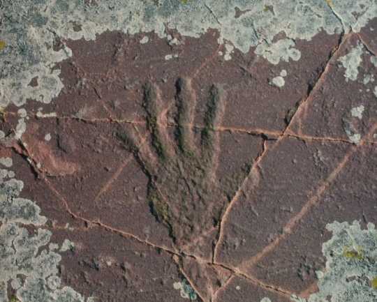 Hand Petroglyph