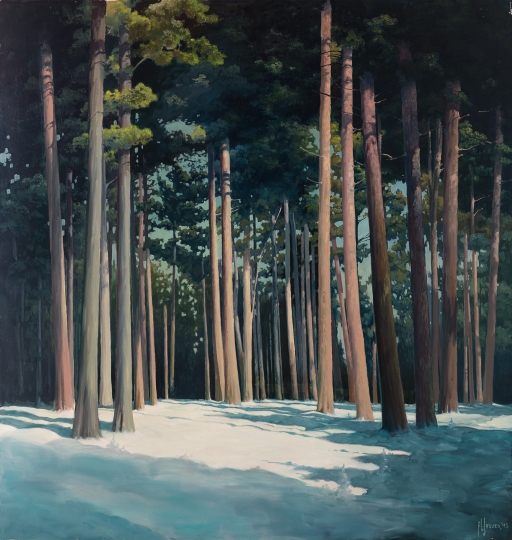 Pine Forest