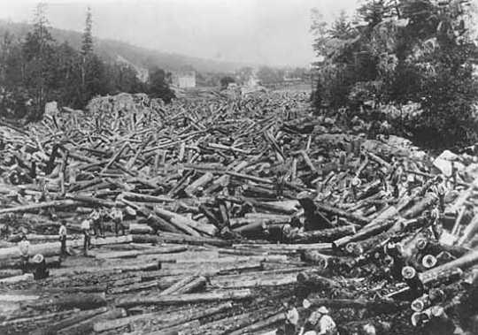 Black and white photograph of a log Jam at Taylors Falls, 1886. 