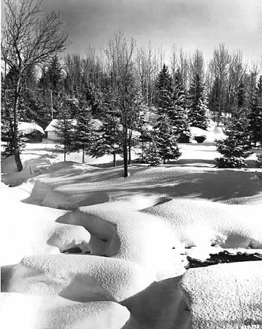 Winter on the Devil Track of the Gunflint Trail. Photograph by Norton & Peel, March 20, 1955.