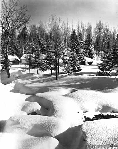 Winter on the Devil Track of the Gunflint Trail. Photograph by Norton & Peel, March 20, 1955.