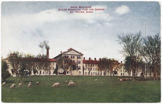 Sheep grazing on the grounds of St. Peter State Hospital