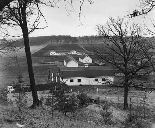 Black and white photograph of farm buildings, Rochester State Hospital, c.1940.