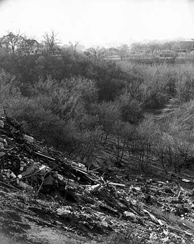 Black and white photograph of Swede Hollow, c.1969.