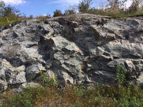 Color image of a gneiss cliffside in Morton, 2016. Photograph by Paul Nelson.