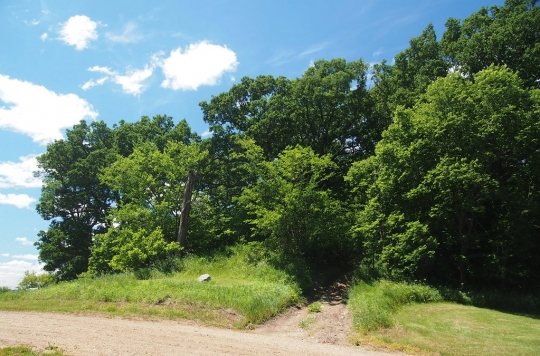 View of old "mountain" island, Mountain Lake