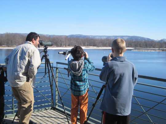 Color image of National Eagle Center visitors watch eagles from the center's observation deck, 2013.