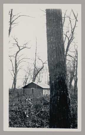 A house on the Red Lake Indian Reservation, 1934