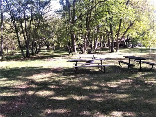 Nerstrand Big Woods State Park picnic grounds, undated. This area was logged in the 1930s. Used with the permission of Rice County Historical Society.