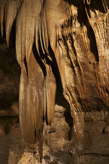Photograph of "Granddad Formation" Niagara Cave