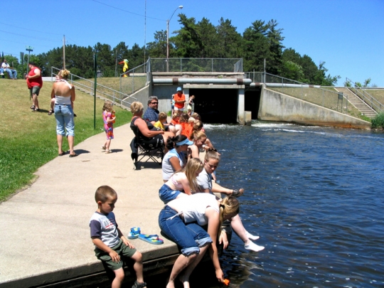 Observers at the Norway Brook duck race