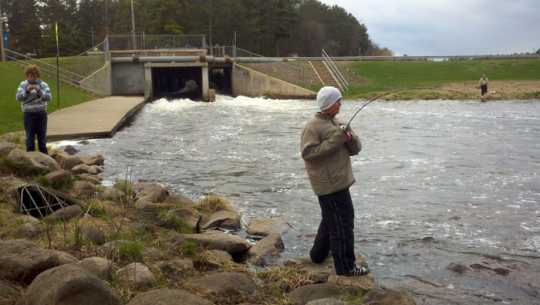 Norway Brook fishing opener