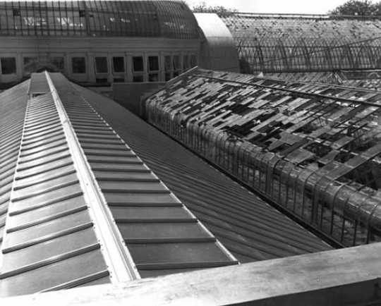 Black and white photograph of hailstorm damage on Conservatory roof, 1962.