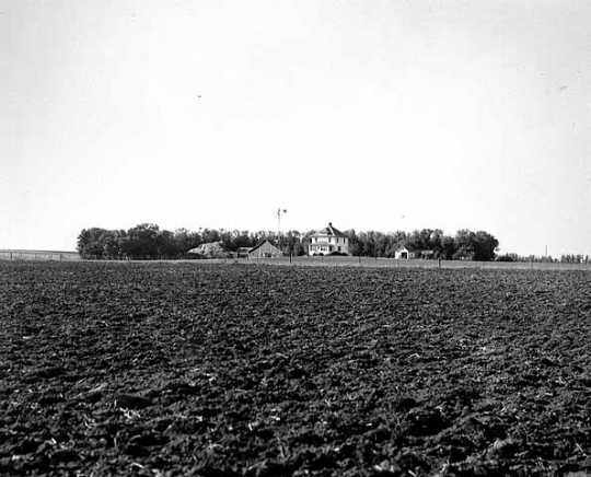 Black and white photograph of a farm in windbreak near Lamberton, Redwood County, 1936. Photograph by Napoleon Noel Nadeau.