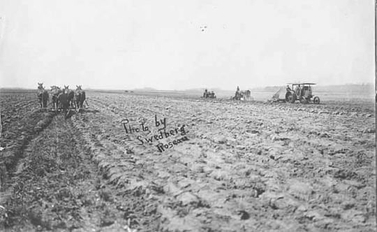 Black and white photograph of a horse and tractor farming in Roseau County, ca. 1920.