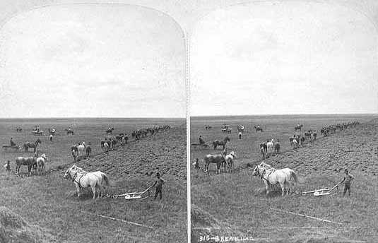 Black and white photograph of a team breaking ground along the line of the Northern Pacific Railroad at Dalrymple Farm, twenty miles west of Fargo, 1878. Photograph by Frank Jay Haynes.