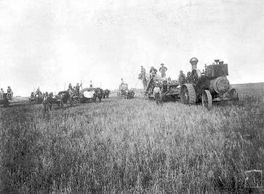 Black and white photograph of a threshing scene at the Lockhart farm, Norman County, Minnesota, 1885. Photograph by: Mrs. C. P. Cahoon.