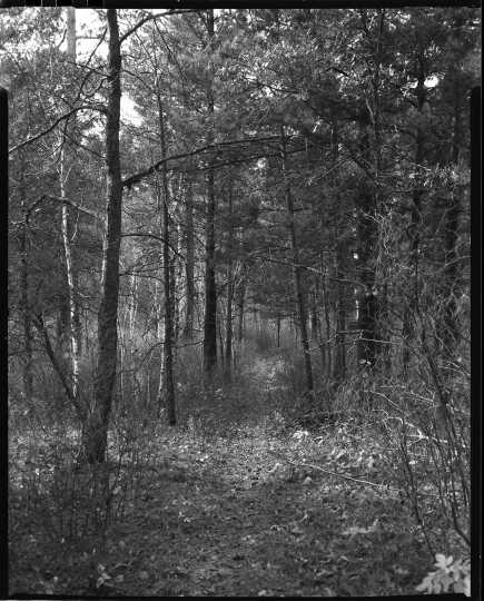Savanna Portage Trail, 1962. Photograph by Eugene D. Becker.