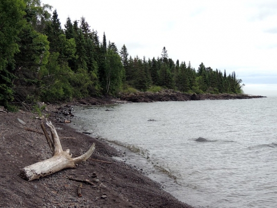 Superior National Forest shoreline