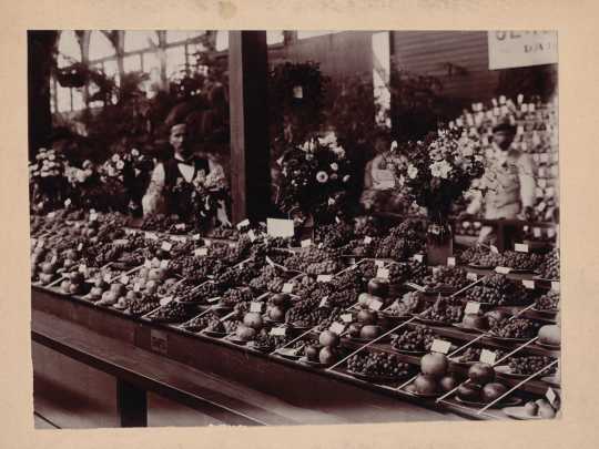 Black and white photograph of a fruit display at the Minnesota State Fair, 1899.