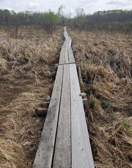 A Savanna Portage boardwalk installed to help travelers traverse a swamp, 2018. Photograph by Jon Lurie; used with the permission of Jon Lurie.