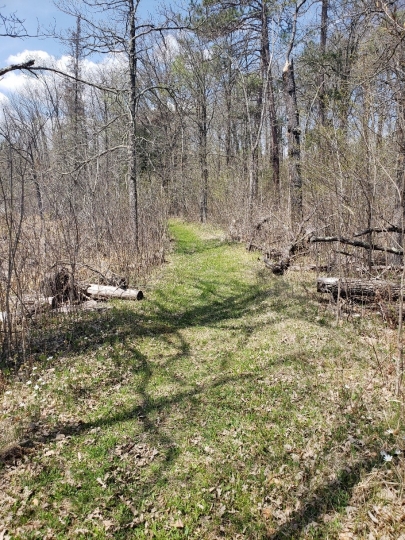 Savanna Portage Trail, 2018. Photograph by Jon Lurie; used with the permission of Jon Lurie.