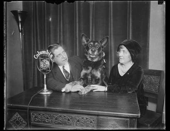 Thomas D. Schall with a German shepherd, possibly Lux, and a woman seated in front of a Columbia microphone