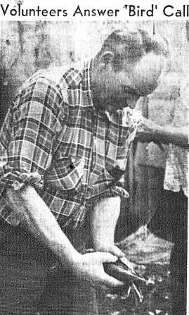 Volunteers Answer "Bird" Call - Newspaper photograph of a man washing off a duck