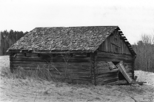 Cattle barn