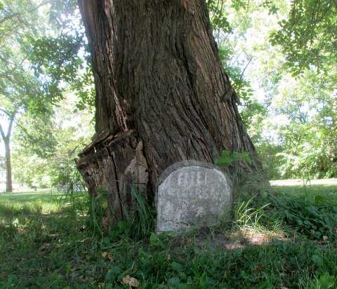 Color image of a headstone set into the base of a tree at Pioneers and Soldiers Memorial Cemetery in Minneapolis, 2016. Photographed by Paul Nelson.
